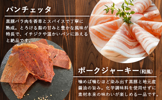 鹿児島県産 BBQ-BOX Ⅱ ハム ソーセージ ベーコン 詰め合わせ セット NS-25| かごしま 黒豚 生ハム ボロニア ウインナー ソース ジャーキー おつまみ バーベキュー 焼き肉 肉 肉汁 香ばしい 低添加製法 冷凍 鹿児島県 南大隅町 南州農場