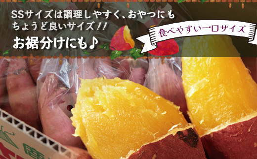 【先行予約：2027年1月上旬配送～】熟成 さつまいも 紅はるか 2.5kg (500g×5袋) SSサイズ FR-301 ｜ 秋の味覚 2026年秋収穫 貯蔵 長期熟成 糖化 さつまいも サツマイモ 感動サツマイモ 焼き芋 べにはるか 小ぶり 野菜 ねっとり 濃厚 おやつ おかず お弁当 煮物 芋ごはん 味噌汁 産地直送 鹿児島県 南大隅町 株式会社フォレスト