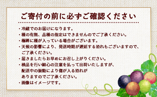 【期間限定!数量限定!】2026年7月下旬発送 旬のブドウ味くらべ約3kg (6～7房) TE710｜産地直送 旬 ブドウ 葡萄 ぶどう フルーツ 果物 くだもの 果実 食べ比べ 鹿児島県 南大隅町 有限会社ティエラ　