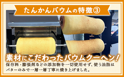  ≪極≫ たんかん バウムクーヘン　1個｜ 菓子 おかし スイーツ デザート バウムクーヘン たんかん 柑橘 食品 人気 おすすめ SH-712