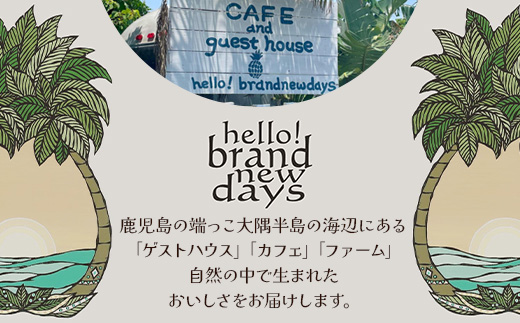 絶品！南大隅町産 【パイナップルバター】約160g× 2瓶 HB-3 ｜パイナップル バター フルーツ ジャム 加工品 スプレッド 国産 南国フルーツ 手作り 鹿児島県  南大隅町 hello! brand new days　