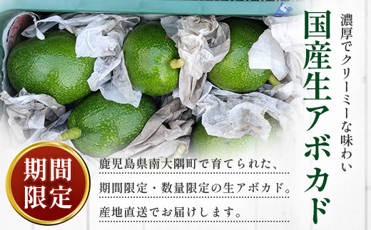 【期間限定・数量限定】 2026年11月より順次発送予定 南大隅町産 生アボカド 約1kg （4品種から2種以上おまかせ）SG-2｜ 産地直送 国産 アボカド 新鮮 森のバター 希少 鹿児島県産 本土最南端 ピンカートン モンロー ジャンボイス エッティンガー しげひさ農園