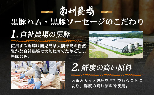 南州農場 黒豚熟成生ハム 4種食べ比べ セット 冷蔵  NS-9 | 国産 肉 お肉 豚肉 豚 にく ぶた かごしま黒豚 生ハム 最高峰 熟成ハム コッパ パンチェッタ コッホサラミ スパイス サラミ 詰め合わせ 産地直送 ギフト プレゼント 贈り物 鹿児島県 南大隅町 南州農場