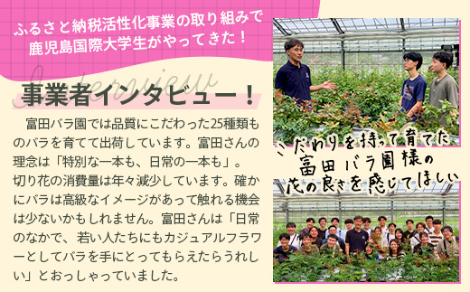 ※先行予約※【日付指定必須・ギフト対応可】ばら農家直送！人気の春・冬薔薇をお届け♪ バラ花束30本以上(ピンク系) TB-14│ローズ 新鮮 花 フラワー 花束 ばら 薔薇 バラ 誕生日 記念日 結婚祝い ギフト プレゼント お祝い 贈り物 贈答 鹿児島県 南大隅町 富田バラ園