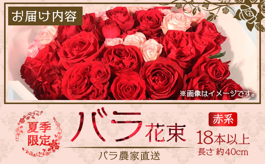 【先行予約・夏季限定 薔薇】ばら農家直送！バラ花束18本以上お届け(赤系) 【ギフト対応可】│ローズ 新鮮 花 フラワー 花束 ばら 薔薇 バラ 誕生日 記念日 結婚祝い ギフト プレゼント お祝い 贈り物 贈答 鹿児島県 南大隅町 富田バラ園 TB-1