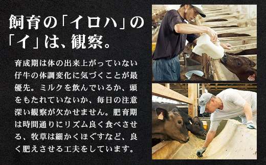 【南州黒牛】霜降りローススライス（3134）
