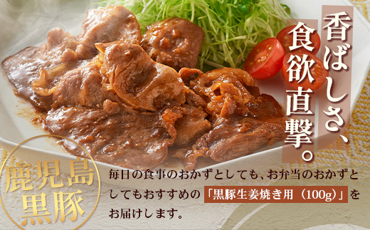 鹿児島県産 黒豚生姜焼きセット 100g 味付き肉 冷凍 NS-20 | 鹿児島 黒豚 かごしま黒豚 お肉 肉 豚肉 しょうが焼き 焼くだけ 味付き おかず お弁当 加工肉 真空パック 鹿児島県 南大隅町 南州農場