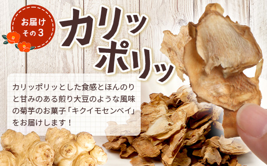 【福袋】白菊芋まるごと満喫３種セット SK-15-fb｜ コーヒー 菊芋 白色菊芋 コーヒー パウダー 菊芋せんべ ノンカフェイン 野菜茶 きくいも お茶 焙煎 ギフト グルメ 鹿児島県 南大隅町 島子農園 福袋