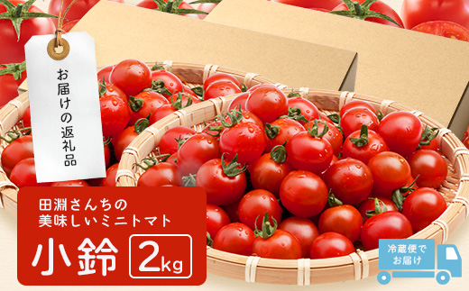 田淵さんちの美味しい ミニトマト 小鈴（約1kg）GP-708｜野菜 トマト ミニトマト 産地直送 新鮮 おいしい お弁当 サラダ 南大隅町 鹿児島県 根占グリーンプラネット