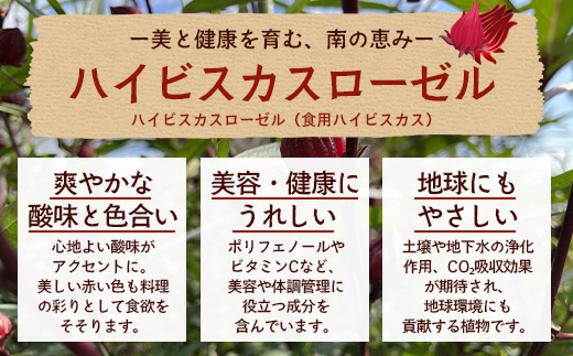 本土最南端　ハイビスカスローゼルうどん（5袋）と地魚のさつまあげ（5枚×2袋）セット