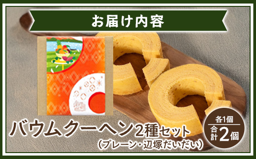 素材にこだわった南大隅町の手作りスイーツ　バウムクーヘン 2個セット ( プレーン ・ 辺塚だいだい)