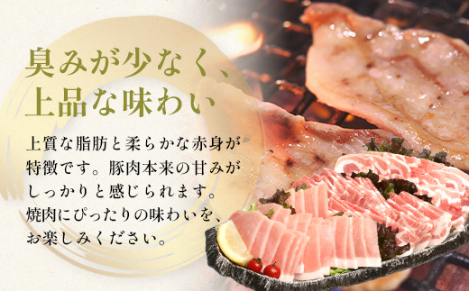 ３種の絶品豚肉セット（ロース・肩ロース・豚バラ）約1,200g HK-29│ 豚 ぶた 肉 焼肉 食べ比べ 厳選 部位別 焼肉屋さん ギフト セット BBQ バーベキュー お弁当 国産 ノウフク 農福連携 鹿児島県 南大隅町 第2花の木ファーム