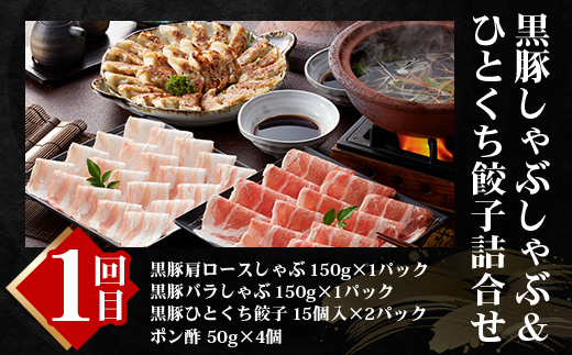 【全6回】極みの かごしま 黒豚定期便 NS-36 | 鹿児島 かごしま 豚 豚肉 ぶた おかず しゃぶしゃぶ 餃子 味噌漬け 生ハム 生姜焼き ハンバーグ ウインナー ハム ソーセージ 焼き豚 切り落とし もも肉 肩ロース バラ 人気 贈答 ギフト定期便 鹿児島県 南大隅町