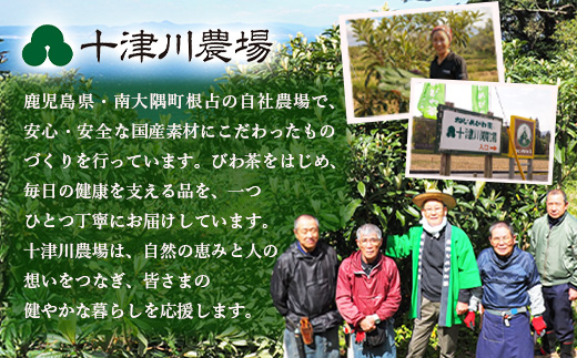 【定期便 全6回】≪6ヶ月連続で毎月お届け≫ 鹿児島県産 ねじめびわ茶 ティーバック ≪1回あたり(24包入×1袋) ≫ ノンカフェイン TO-2-NP| 国産 お茶 健康 茶 カロリーゼロ 無香料 無着色 ポリフェノール さわやか 甘み 香ばしい おいしい トルマリン石焙煎 びわの葉 産地直送 ネコポス 鹿児島県 南大隅町 十津川農場