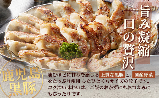 鹿児島県産 黒豚しゃぶしゃぶ&ひとくち餃子詰合せ 計約600g NS-15❘ 肉 お肉 豚肉 豚 にく ぶた かごしま黒豚 ロース肉 肩ロース バラ肉 ぎょうざ ひとくち餃子 冷蔵 鹿児島県 南大隅町 南州農場