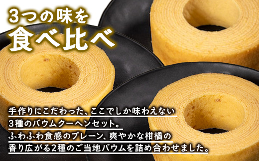 バウムクーヘン 3個セット ( プレーン ・ たんかん ・ 辺塚だいだい ）｜菓子 おかし スイーツ デザート バウムクーヘン 食品 人気 おすすめ 柑橘系  SH-717