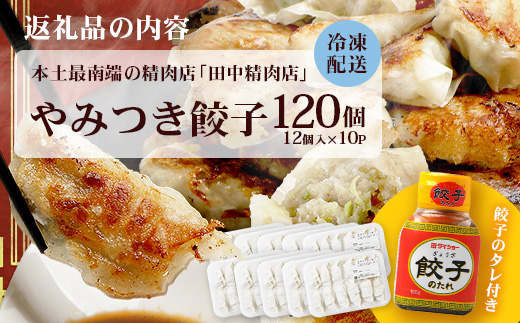 佐多の田中肉屋ニンニクたっぷりやみつき餃子 120個