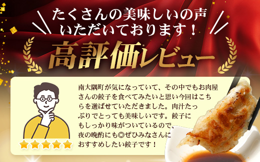 佐多の田中肉屋ニンニクたっぷりやみつき餃子 240個（12個入り×20パック） 餃子のタレ3本付き | ぎょうざ 餃子 ギョウザ にんにく スタミナ餃子 大容量 手作り おかず ビールと一緒に 冷凍 産地直送 鹿児島県 南大隅町 田中精肉店　TA-2
