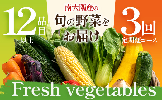 【定期便全3回】よくばり新鮮お野菜セット 12品目以上 NI-7 ｜ 旬 野菜 やさい 果物 くだもの 産地直送 農産物 冷蔵 鹿児島県 南大隅町産 詰合せ おまかせ 家庭用 なんたん市場