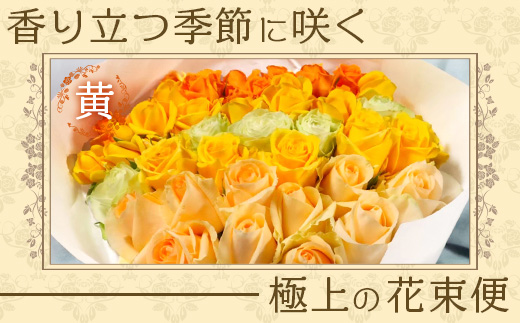 【先行予約】【人気の春・冬薔薇をお届け】ばら農家直送！バラ花束30本以上お届け(黄系) 【ギフト対応可】│ローズ 新鮮 花 フラワー 花束 ばら 薔薇 バラ 誕生日 記念日 結婚祝い ギフト プレゼント お祝い 贈り物 贈答 鹿児島県 南大隅町 富田バラ園 TB-15