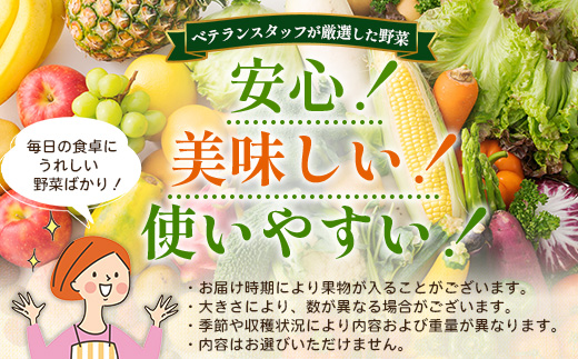【定期便全3回】よくばり新鮮お野菜セット 12品目以上 NI-7 ｜ 旬 野菜 やさい 果物 くだもの 産地直送 農産物 冷蔵 鹿児島県 南大隅町産 詰合せ おまかせ 家庭用 なんたん市場