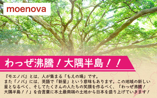 【先行予約2026年12月～発送！】【熟成】冷凍やきいも！紅はるか ( 1kg×2袋) MO-1 ｜鹿児島県 南大隅町 株式会社モエノバ