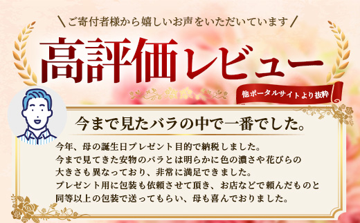 ※先行予約※【数量限定・ギフト】 ばら農家直送！深紅の薔薇20本お届け TB-17│ローズ 新鮮 バラ 花 フラワー 花束 ばら 薔薇 誕生日 記念日 結婚祝い プロポーズ ギフト プレゼント お祝い 贈り物 贈答 鹿児島県 南大隅町 富田バラ園