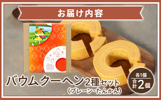 素材にこだわった南大隅町の手作りスイーツ　バウムクーヘン 2個セット ( プレーン ・ たんかん )