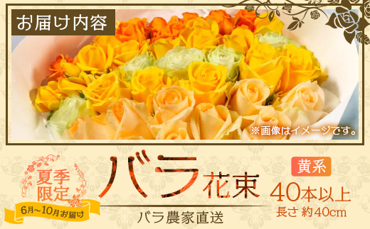 【日付指定必須・ギフト対応可】 夏季限定 ばら農家直送！バラ花束40本以上お届け(黄系) TB-7│ローズ 新鮮 花 フラワー 花束 ばら 薔薇 バラ 誕生日 記念日 結婚祝い ギフト プレゼント お祝い 贈り物 贈答 鹿児島県 南大隅町 富田バラ園