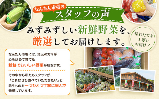 【定期便全3回】よくばり新鮮お野菜セット 12品目以上 NI-7 ｜ 旬 野菜 やさい 果物 くだもの 産地直送 農産物 冷蔵 鹿児島県 南大隅町産 詰合せ おまかせ 家庭用 なんたん市場