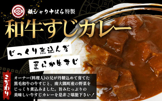 ［2種類］＼日本料理人の手作り／ 鹿児島県産 黒毛和牛レトルトパック 2種セット ≪合計6パック≫ ミートソース（240g×3パック）/すじカレー（240g×3パック） GN-12｜鹿児島県 南大隅町 あたためるだけ 黒毛和牛 牛すじ 牛肉 カレー ミートソース おかず 時短 銀シャリ中はら