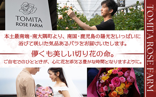 ※先行予約※【日付指定必須・ギフト対応可】ばら農家直送！人気の春・冬薔薇をお届け♪ バラ花束30本以上(色はおまかせ) TB-16 │ ローズ 新鮮 花 フラワー 花束 ばら 薔薇 バラ 誕生日 記念日 結婚祝い ギフト プレゼント お祝い 贈り物 贈答 鹿児島県 南大隅町 富田バラ園