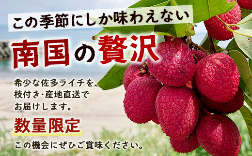【今が旬！数量限定】本土最南端よりお届け！希少生ライチ（約400g）TE-1｜国産 果物 ライチ らいち 生 枝付き 栽培期間中 無農薬 ぷりぷり ジューシー 産地直送 限定 鹿児島県 南大隅町 有限会社ティエラ