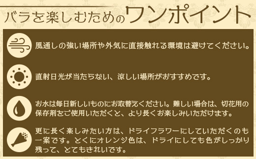 【日付指定必須・ギフト対応可】 夏季限定 ばら農家直送！バラ花束40本以上お届け(黄系) TB-7│ローズ 新鮮 花 フラワー 花束 ばら 薔薇 バラ 誕生日 記念日 結婚祝い ギフト プレゼント お祝い 贈り物 贈答 鹿児島県 南大隅町 富田バラ園