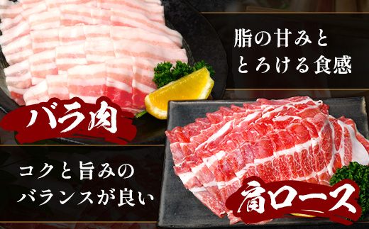 鹿児島県産 ひかり麦豚 しゃぶしゃぶ 食べ比べセット 約1kg (200g×5パック) トレーなし 冷凍　HM-1 | 肉 お肉 にく 豚肉 ロース 肩ロース バラ肉 スライス 冷凍 真空冷凍 産地直送 新鮮 小分け 甘み 産地直送 鹿児島県 南大隅町 ひかり麦豚直売所