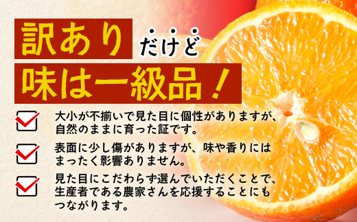 【訳あり】《先行予約》南大隅の太陽浴びた甘くて・おいしい タンカン 約5kg【数量限定】<2026年2月中旬以降順次発送> ID-3｜訳あり 訳アリ たんかん タンカン 柑橘 カンキツ 柑橘類 詰め合わせ 産地直送 先行予約 おすすめ 人気 南大隅町