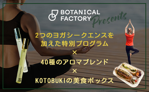 【大人１名利用】ツアーチケット 冬の贈り物 錦江湾を望む香りの休日 -アロマとヨガで紡ぐ、あなただけの特別な一日-　BF-11 |アロマ ヨガ ランチ ワークショップ オーデコロン 瞑想 メディテーション 体験 ボタニカノン BOTANICANON 鹿児島県 南大隅町 ボタニカルファクトリー