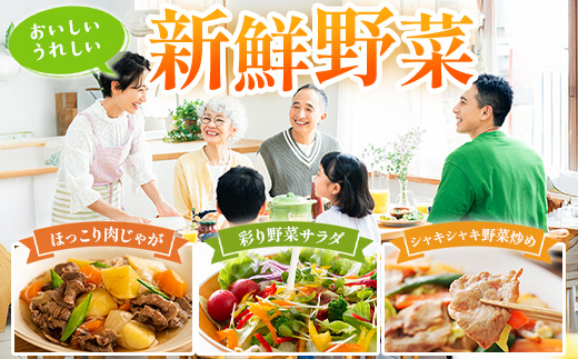 よくばり新鮮お野菜セット 12品目以上 NI-6｜ 旬 野菜 やさい 果物 くだもの 産地直送 農産物 冷蔵 鹿児島県 南大隅町産 詰合せ おまかせ 家庭用 なんたん市場