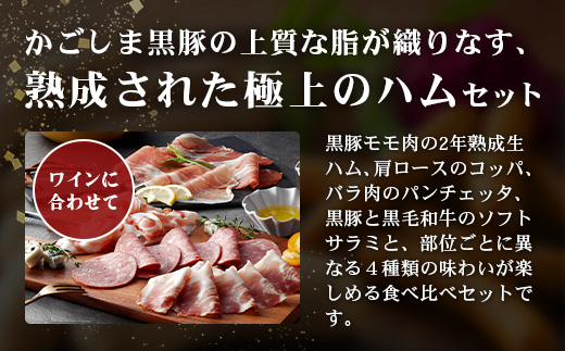 南州農場 黒豚熟成生ハム 4種食べ比べ セット 冷蔵  NS-9 | 国産 肉 お肉 豚肉 豚 にく ぶた かごしま黒豚 生ハム 最高峰 熟成ハム コッパ パンチェッタ コッホサラミ スパイス サラミ 詰め合わせ 産地直送 ギフト プレゼント 贈り物 鹿児島県 南大隅町 南州農場