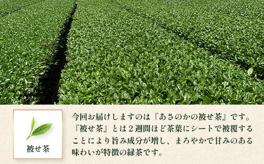 【2026年摘みたて！】新茶 ナナ茶 被せ茶 あさのか 80g×2パック RS-10｜お茶 茶 茶葉 お茶の葉 ケルセチン 緑茶 高級緑茶 高級 日本茶 鹿児島茶 国産 おしゃれ ブレンド茶 シングルオリジン 被覆栽培 鹿児島県 南大隅町 株式会社Re-Shine