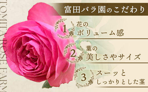 【日付指定必須・ギフト対応可】 夏季限定 ばら農家直送！バラ花束40本以上お届け(黄系) TB-7│ローズ 新鮮 花 フラワー 花束 ばら 薔薇 バラ 誕生日 記念日 結婚祝い ギフト プレゼント お祝い 贈り物 贈答 鹿児島県 南大隅町 富田バラ園