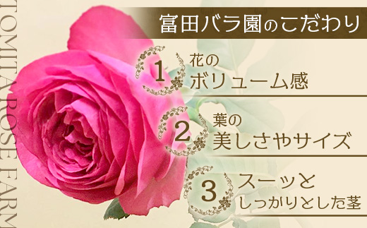 【先行予約】【人気の春・冬薔薇をお届け】ばら農家直送！バラ花束15本以上お届け(赤系) 【ギフト対応可】│ローズ 新鮮 花 フラワー 花束 ばら 薔薇 バラ 誕生日 記念日 結婚祝い ギフト プレゼント お祝い 贈り物 贈答 鹿児島県 南大隅町 富田バラ園 TB-9