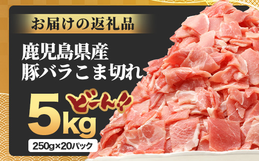 鹿児島県産 豚バラ切り落とし 計5kg HK-32 鹿児島県 南大隅町 国産豚 250g×20パック 豚肉切り落とし 豚バラ肉 小分け 豚キムチ 炒め物 焼肉 こま切れ 切り落とし 細切れ 小間切れ 薄切り スライス お肉 肉 豚肉 冷凍
