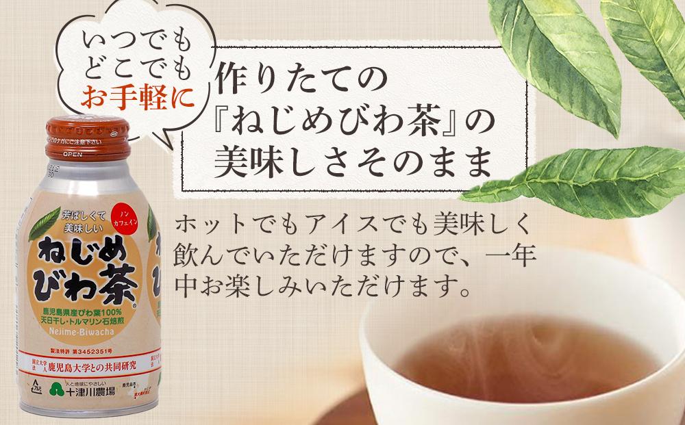 ねじめびわ茶10包入　ねじめびわ茶ボトル缶3本　お試し