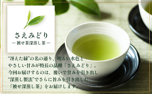 【2026年摘みたて！】ナナ茶 新茶贅沢2種セット 被せ深蒸し茶 さえみどり（80g×1P） ＆ 被せ茶 あさのか（80g×1P）RS-11｜お茶 茶 茶葉 お茶の葉 被せ茶 玉露仕立て 緑茶 高級緑茶 高級 日本茶 鹿児島茶 国産 おしゃれ ブレンド茶 シングルオリジン 被覆栽培 鹿児島県 南大隅町 株式会社Re-Shine