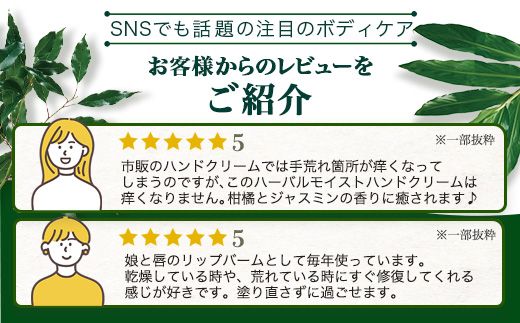 【100％自然由来】ボディケア3点セット（ハンドクリーム ＆バーム＆リップスティック）│美容 ハンドクリーム インフューズドバーム リップスティック ボディケア スキンケア ハンドケア ハンドクリーム ヘアケア リップケア リップクリーム 乾燥肌 保湿 潤い ハリ 弾力 抗菌 抗ウイルス ボタニカノン BOTANICANON ケミカルフリー 鹿児島県 南大隅町 ボタニカルファクトリーBF-519