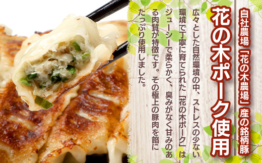 花の木農場【ニラ餃子】50個（HK-502）