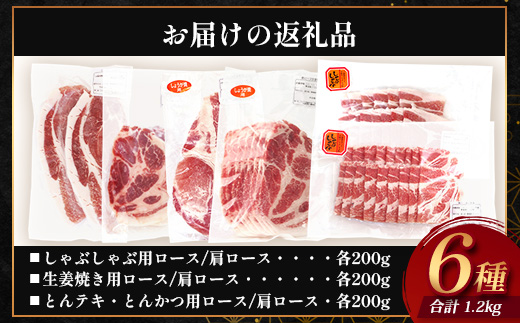 鹿児島県産 ひかり麦豚 ロース三昧セット6種類 （200g×6パック）約1.2kg トレーなし 冷凍 HM-12 | 精肉 肉 お肉 にく 豚肉 ロース肉 ロース 肩ロース 真空冷凍 産地直送 新鮮 小分け 産地直送 鹿児島県 南大隅町 ひかり麦豚直売所