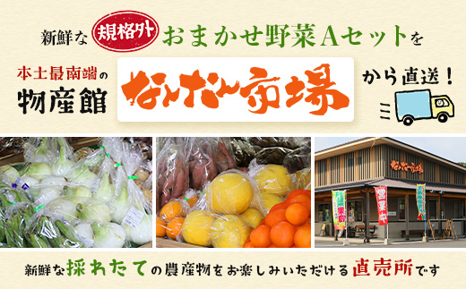 【規格外】本土最南端から 旬のおまかせ野菜セットA 10品目以上 NI-3 ｜ 旬 野菜 やさい 果物 くだもの 産地直送 農産物 冷蔵 鹿児島県 南大隅町産 詰合せ おまかせ 家庭用 訳あり なんたん市場