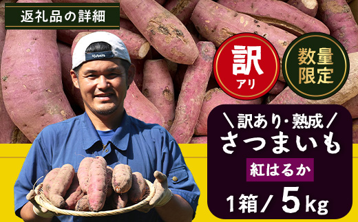 [訳あり！]先行予約【2025年11月下旬より順次発送】熟成 紅はるか 5kg (1箱 ) さつまいも 鹿児島県産